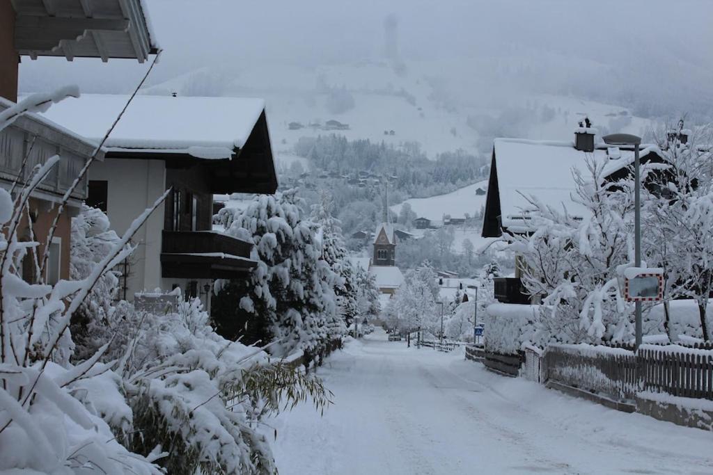 Haus Anna Louise - Niedernsill Daire Dış mekan fotoğraf